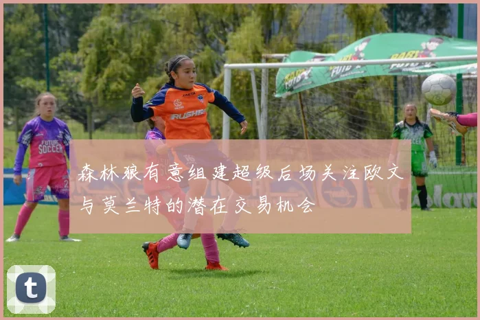 森林狼有意组建超级后场关注欧文与莫兰特的潜在交易机会